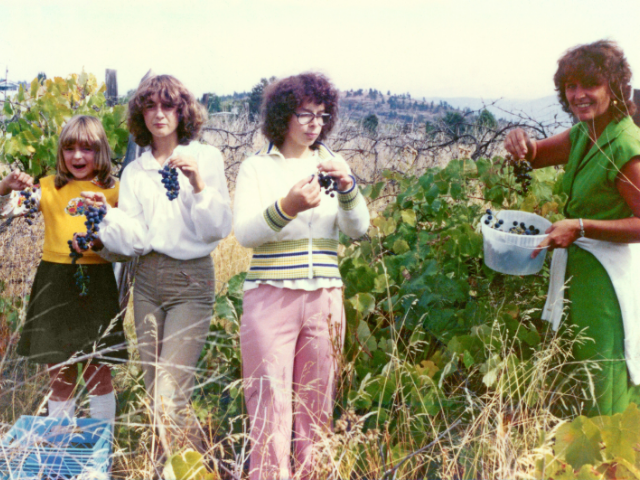 Picture of 4 women, ranging in age standing in an overgrown vineyard eating red grapes. The photo is from the 1980s and the clothing and hair reflect that.