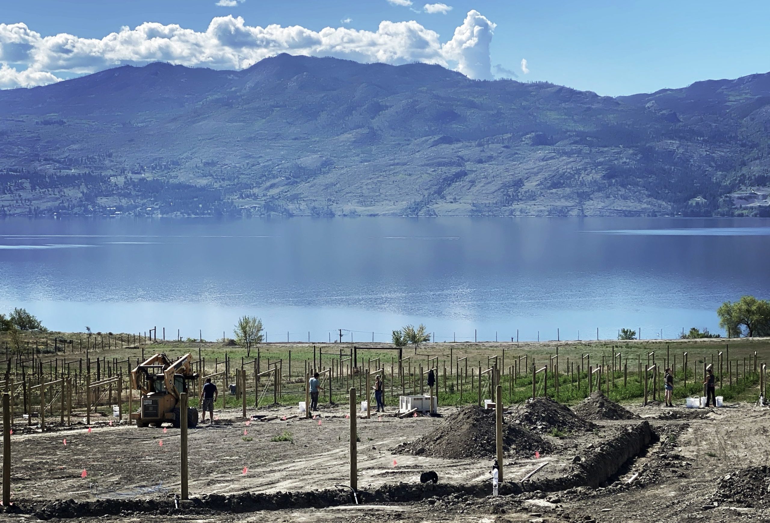 This is a picture with dirt in the foreground, a piece of heavy machinery, people, a vineyard and a lake and mountains can be seen in the background.